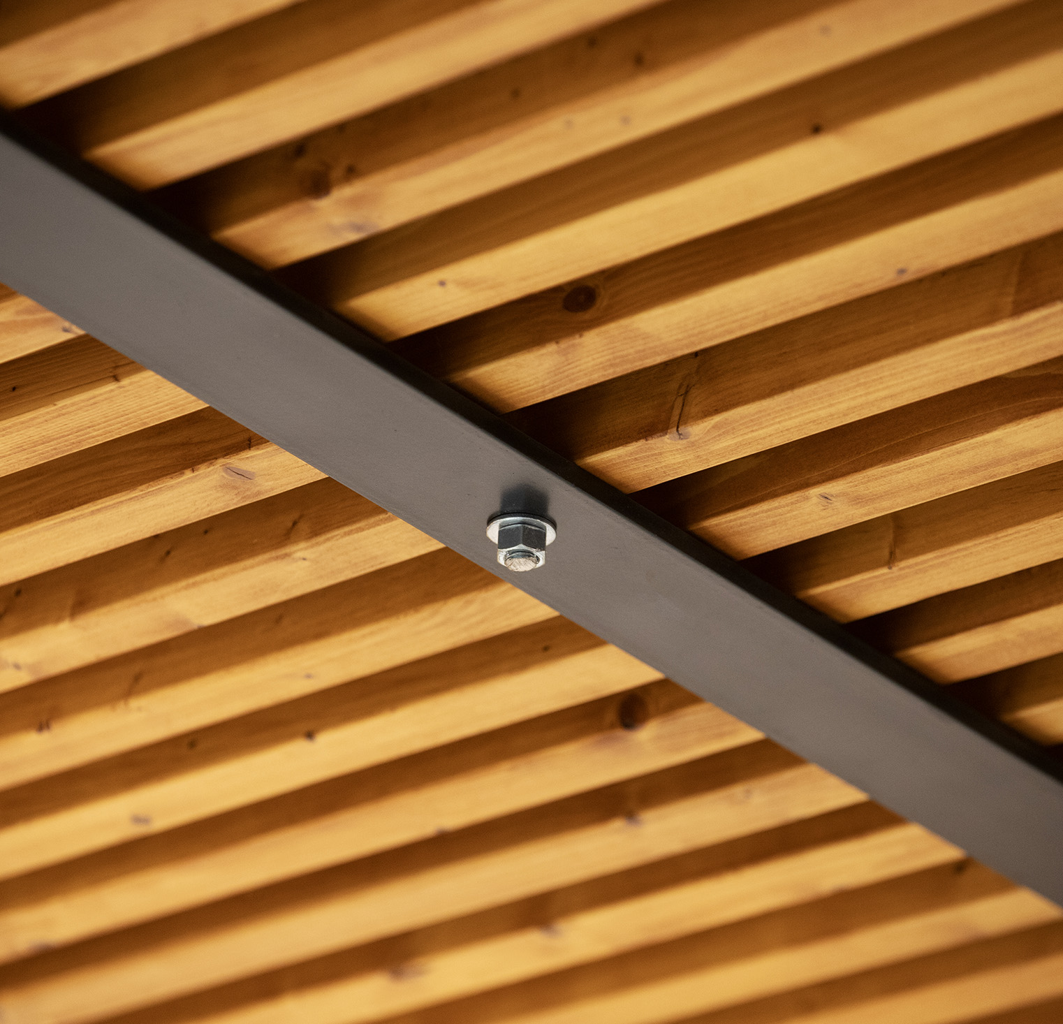 normex-close-up